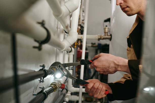Septic Systems in Wacousta, MI
