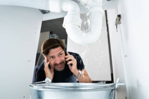 Best Clogged Drain Plumber  in Wacousta, MI