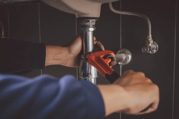 Best Affordable Plumbing Services  in Wacousta, MI